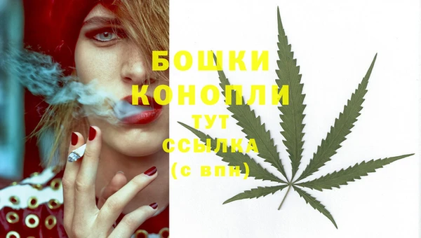 хмурый Богородицк