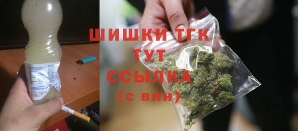 PSILOCYBIN Богданович