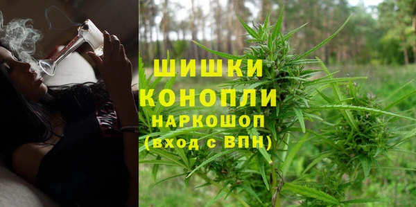 хмурый Богородицк
