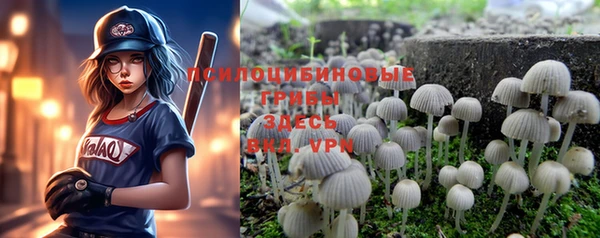 PSILOCYBIN Богданович